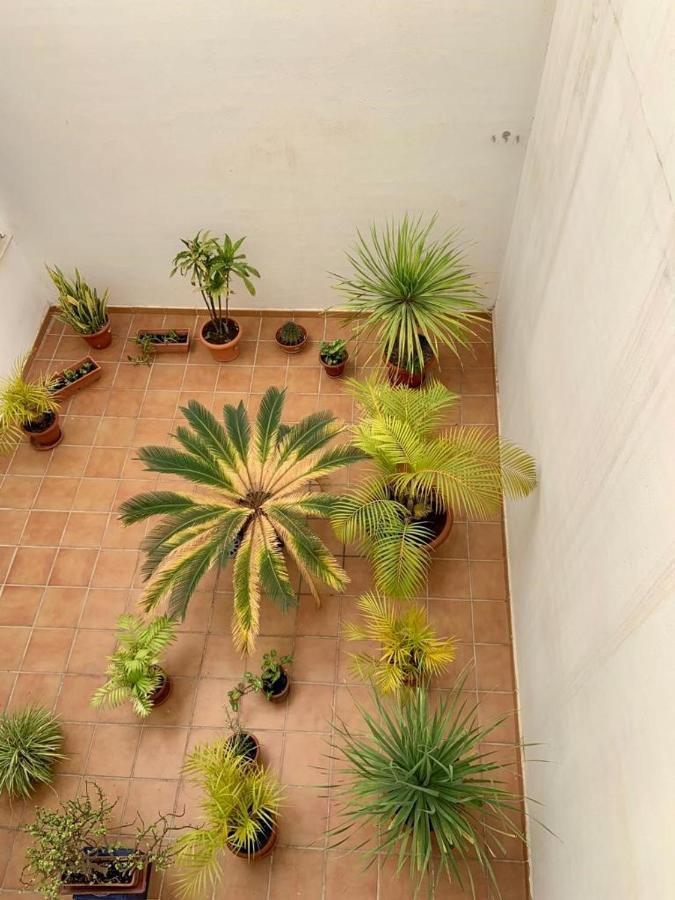 Apartamento En El Centro, Tranquilo Y Luminoso มาลากา ภายนอก รูปภาพ